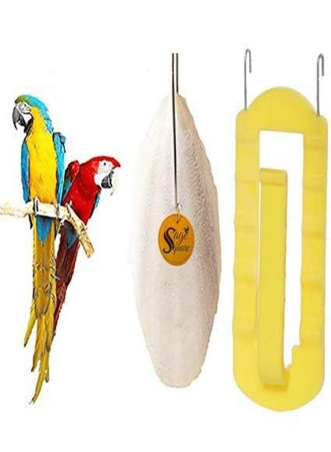 سايج سكوير سيج سكوير مصدر طبيعي للكالسيوم، عظم الحبار، مكعب معدني طبيعي، كالسيوم، للطيور والببغاء (500 غرام مع حامل) - Image 1